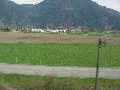 Farm in Fraser Valley